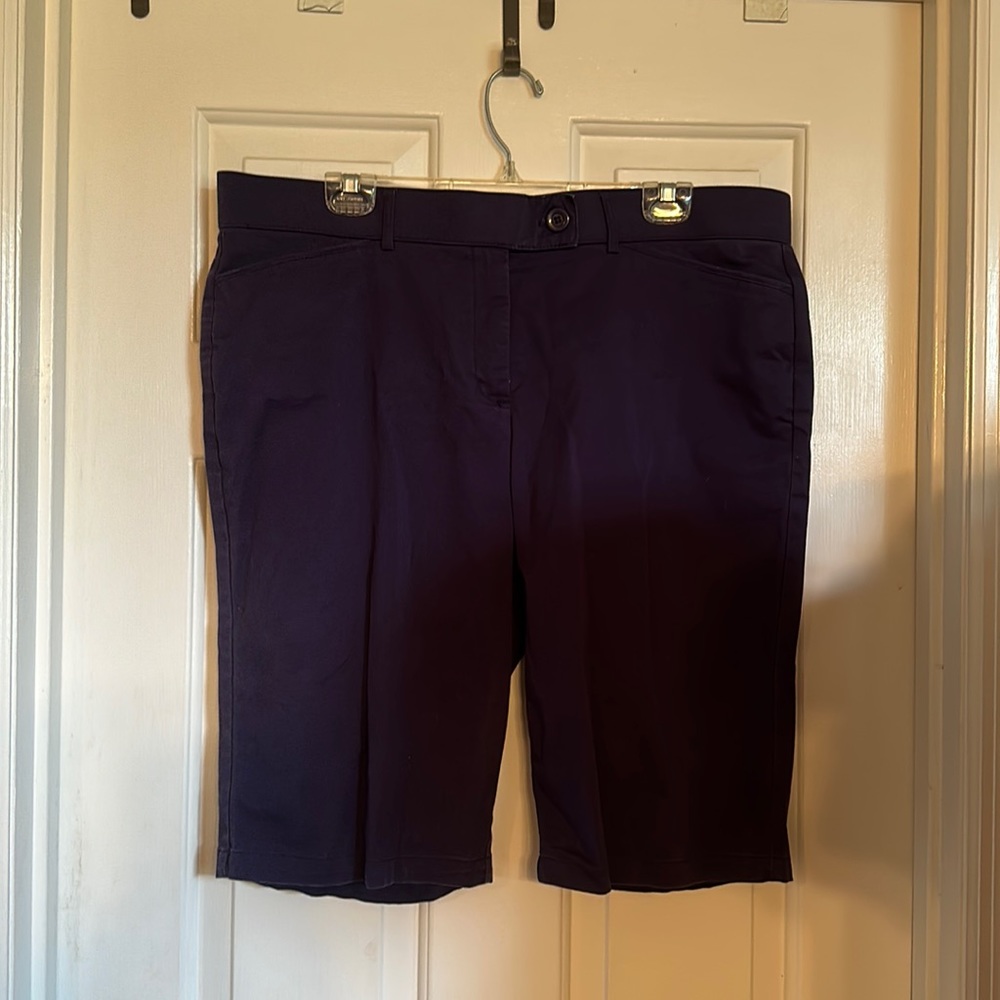 Coral Bay Shorts 18 Blue